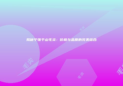 揭秘宁强千山毛尖：价格与品质的完美结合