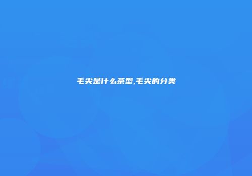 毛尖是什么茶型,毛尖的分类