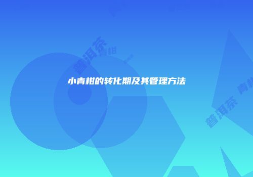 小青柑的转化期及其管理方法