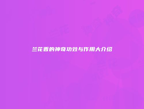 兰花香的神奇功效与作用大介绍