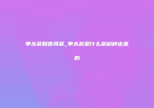 单丛茶和普洱茶_单丛茶是什么茶树种出来的