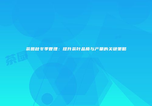 茶园秋冬季管理：提升茶叶品质与产量的关键策略