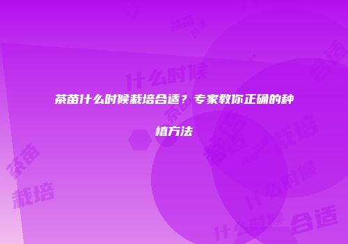 茶苗什么时候栽培合适？专家教你正确的种植方法