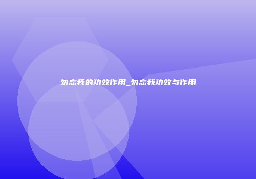 勿忘我的功效作用_勿忘我功效与作用