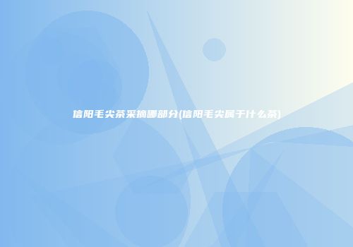 信阳毛尖茶采摘哪部分(信阳毛尖属于什么茶)
