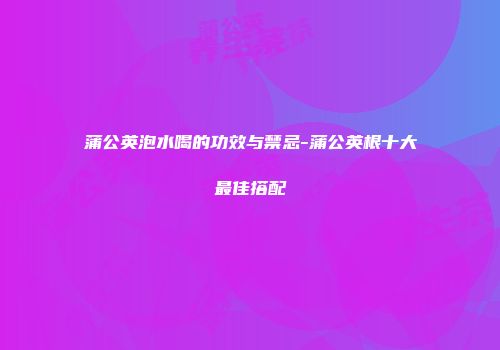 蒲公英泡水喝的功效与禁忌-蒲公英根十大最佳搭配