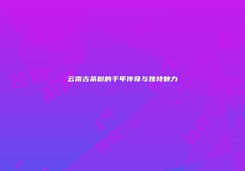 云南古茶树的千年传奇与独特魅力