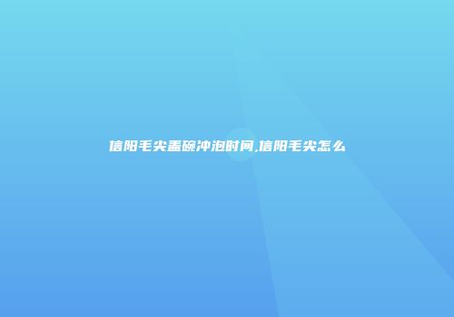 信阳毛尖盖碗冲泡时间,信阳毛尖怎么