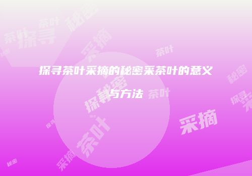 探寻茶叶采摘的秘密采茶叶的意义与方法