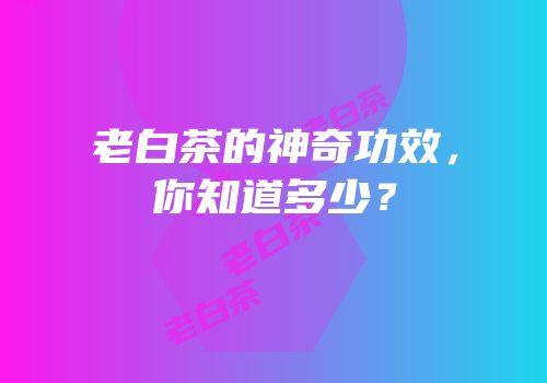老白茶的神奇功效，你知道多少？