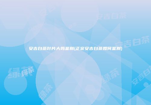 安吉白茶叶片大吗鉴别(正宗安吉白茶如何鉴别)