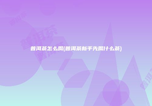 普洱茶怎么喝(普洱茶新手先喝什么茶)