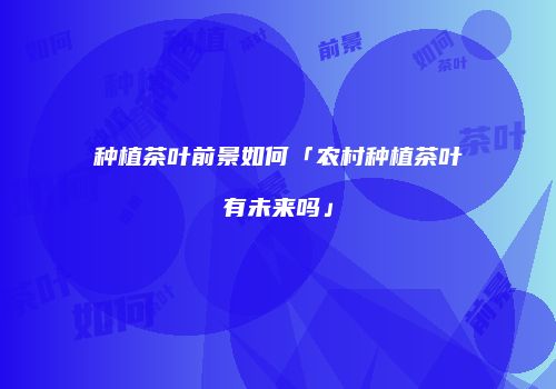 种植茶叶前景如何「农村种植茶叶有未来吗」