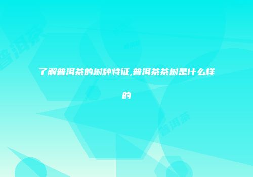 了解普洱茶的树种特征,普洱茶茶树是什么样的