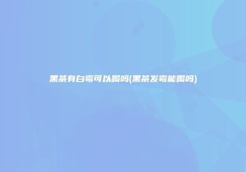 黑茶有白霉可以喝吗(黑茶发霉能喝吗)