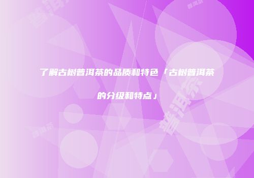 了解古树普洱茶的品质和特色「古树普洱茶的分级和特点」
