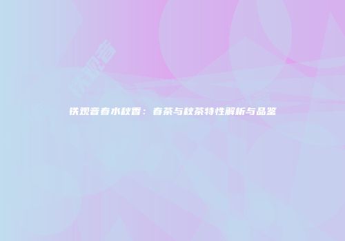 铁观音春水秋香：春茶与秋茶特性解析与品鉴