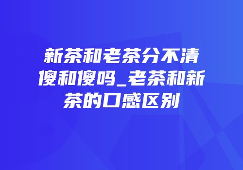 新茶和老茶分不清傻和傻吗_老茶和新茶的口感区别
