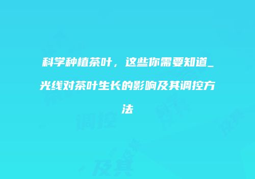 科学种植茶叶，这些你需要知道_光线对茶叶生长的影响及其调控方法