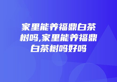 家里能养福鼎白茶树吗,家里能养福鼎白茶树吗好吗
