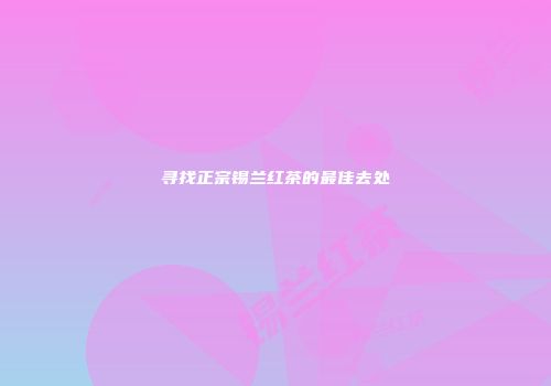 寻找正宗锡兰红茶的最佳去处
