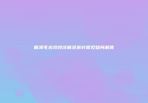 普洱毛尖功效详解及茶叶常见疑问解答