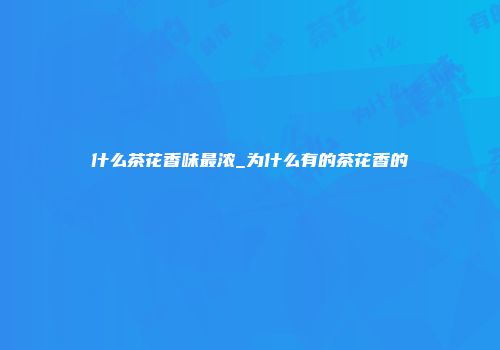 什么茶花香味最浓_为什么有的茶花香的