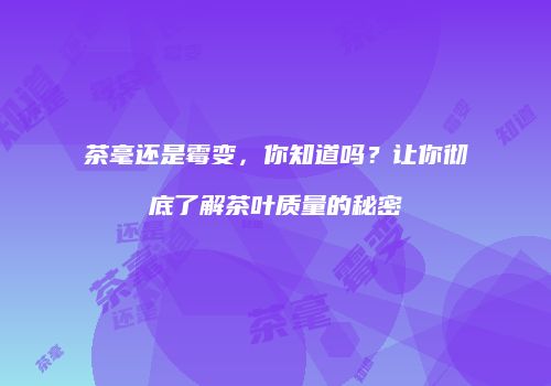 茶毫还是霉变，你知道吗？让你彻底了解茶叶质量的秘密