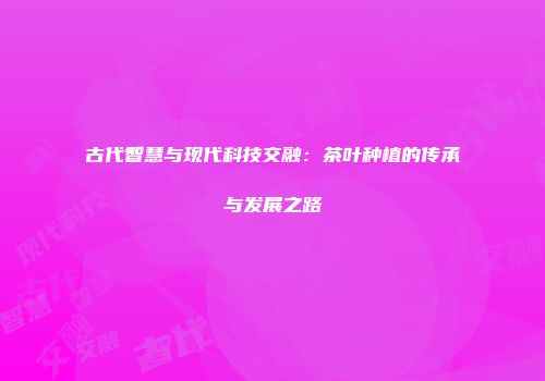 古代智慧与现代科技交融：茶叶种植的传承与发展之路
