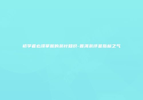 初学者必须掌握的茶叶知识-普洱茶评鉴指标之气