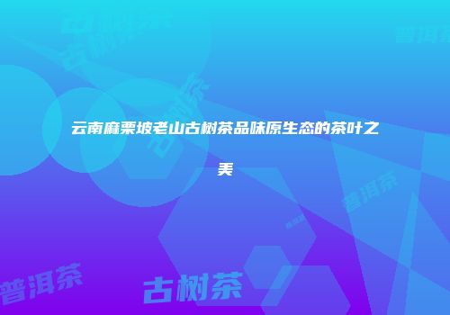 云南麻栗坡老山古树茶品味原生态的茶叶之美