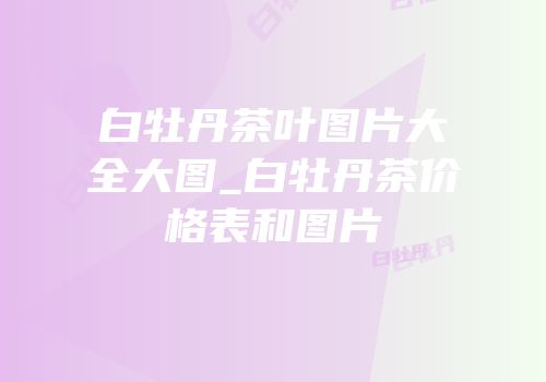 白牡丹茶叶图片大全大图_白牡丹茶价格表和图片