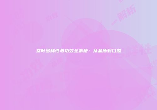 茶叶多样性与功效全解析：从品质到口感
