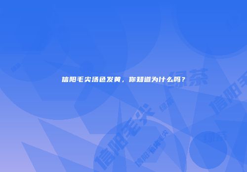 信阳毛尖汤色发黄，你知道为什么吗？