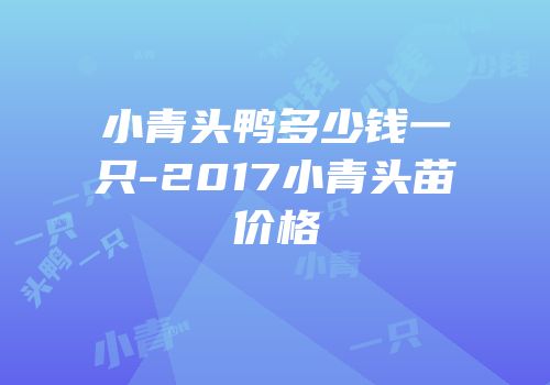 小青头鸭多少钱一只-2017小青头苗价格