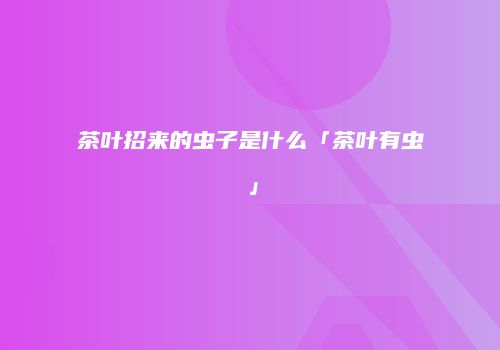 茶叶招来的虫子是什么「茶叶有虫」