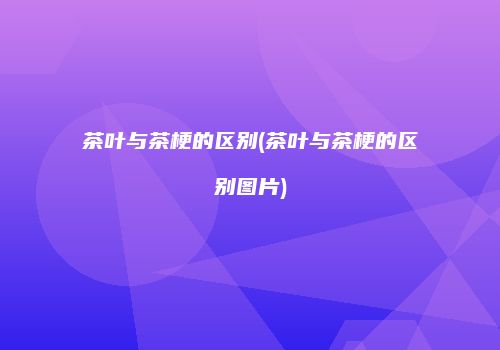 茶叶与茶梗的区别(茶叶与茶梗的区别图片)