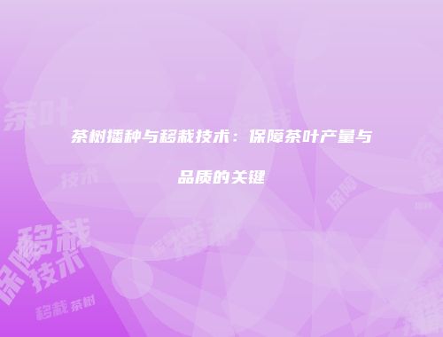 茶树播种与移栽技术：保障茶叶产量与品质的关键