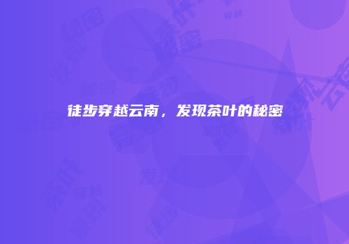 徒步穿越云南，发现茶叶的秘密