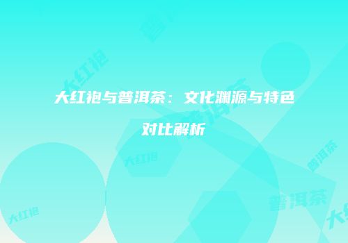 大红袍与普洱茶：文化渊源与特色对比解析