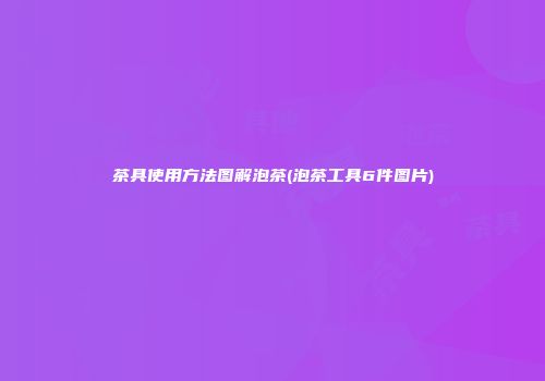 茶具使用方法图解泡茶(泡茶工具6件图片)