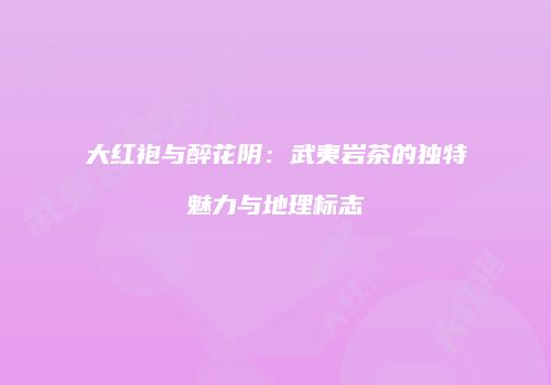 大红袍与醉花阴：武夷岩茶的独特魅力与地理标志