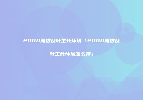 2000海拔茶叶生长环境「2000海拔茶叶生长环境怎么样」