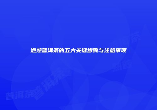 泡熟普洱茶的五大关键步骤与注意事项
