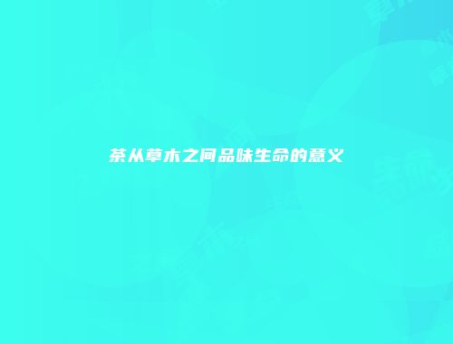茶从草木之间品味生命的意义