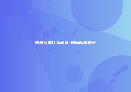 杭白菊是什么颜色-白菊和杭白菊