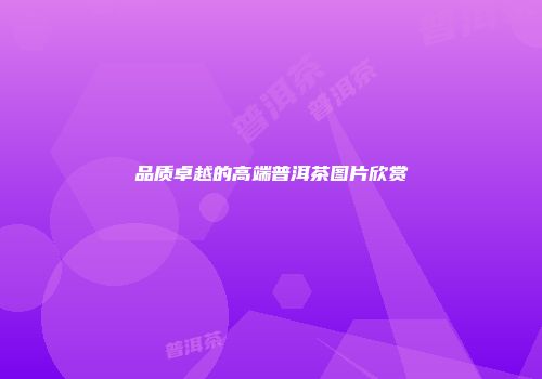 品质卓越的高端普洱茶图片欣赏