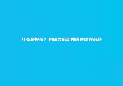什么是好茶？身体告诉你如何选择好茶品