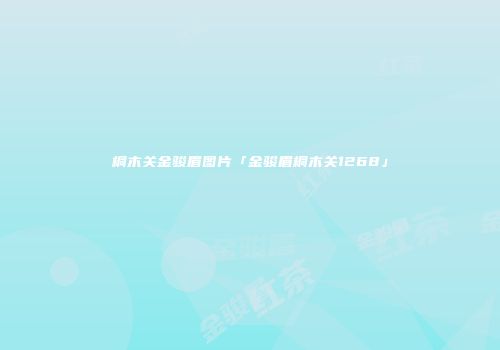 桐木关金骏眉图片「金骏眉桐木关1268」