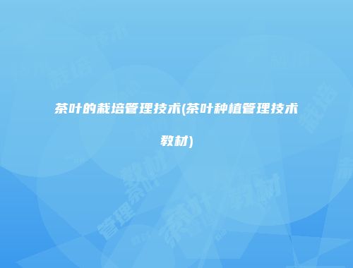 茶叶的栽培管理技术(茶叶种植管理技术教材)